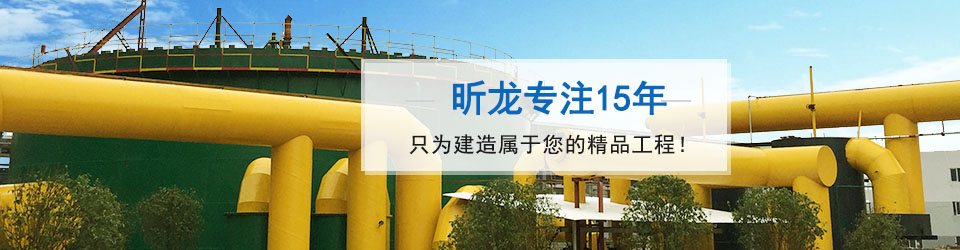 懿龍專注15年 只為建造屬于您的精品工程